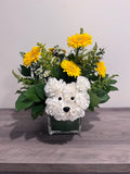 Daisy's Best Friend Floral Arrangement